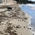 Belazur Entre Et Port דירה