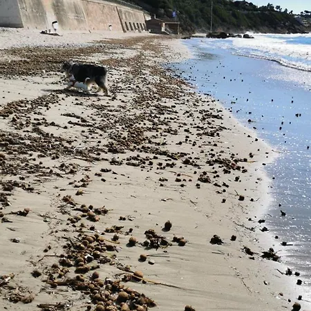 Belazur Entre Et Port 아파트