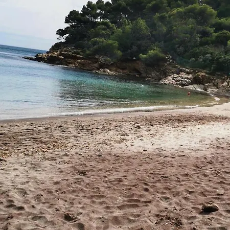 Belazur Entre Et Port Bandol